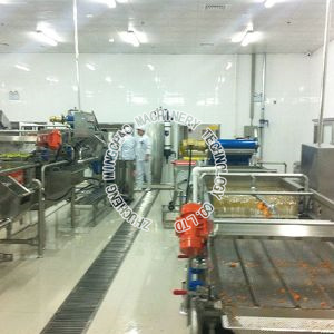 fruit cleaning and processing line machine