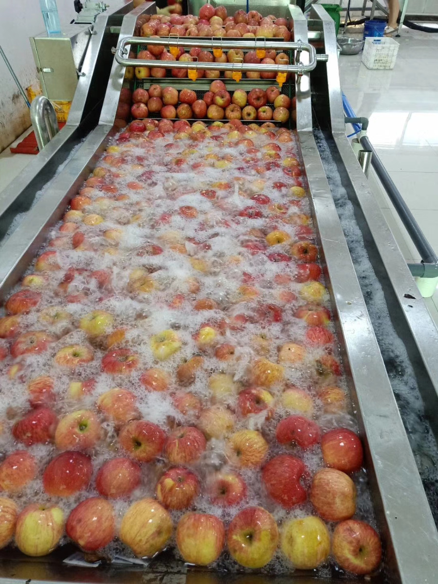 苹果清洗机 水果清洗流水线