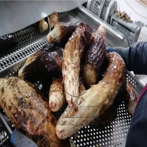 肉苁蓉清洗机