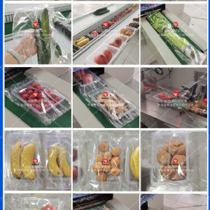 黄瓜蔬菜包装机 小食品连续式包装机
