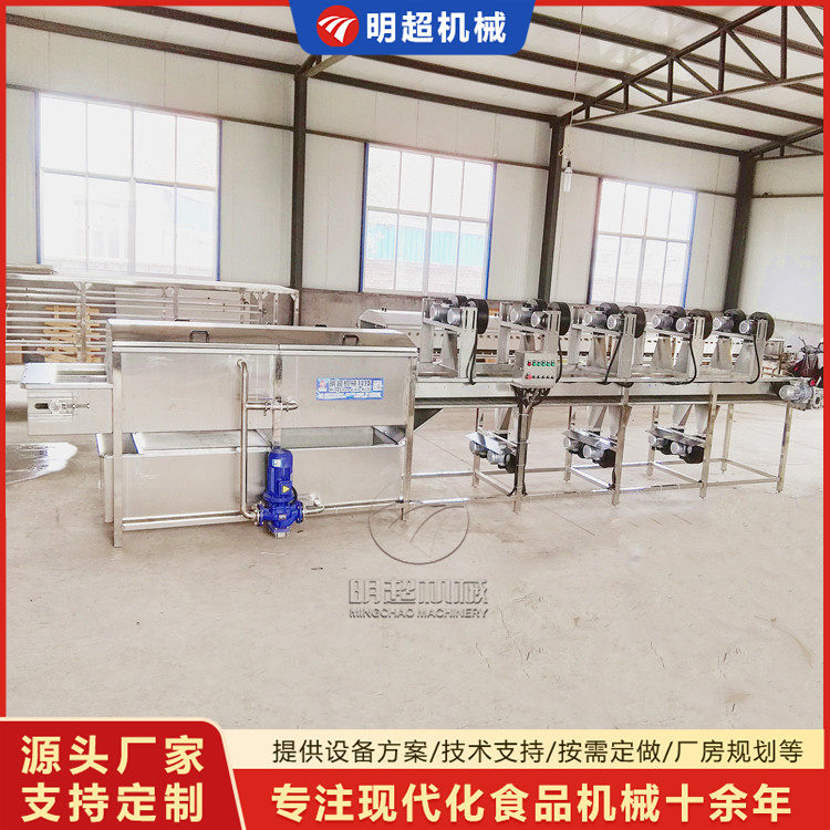 水果清洗流水线