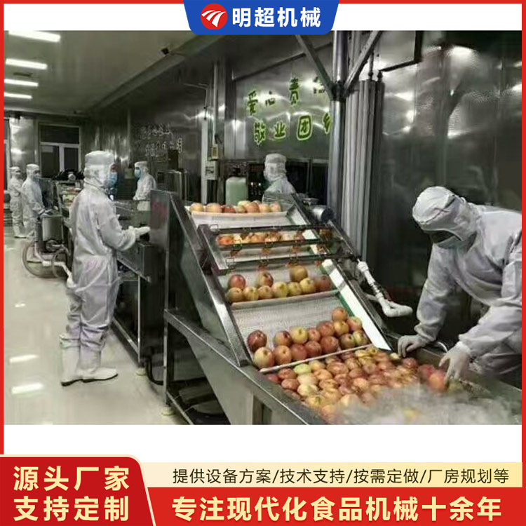 苹果清洗机-水果清洗流水线