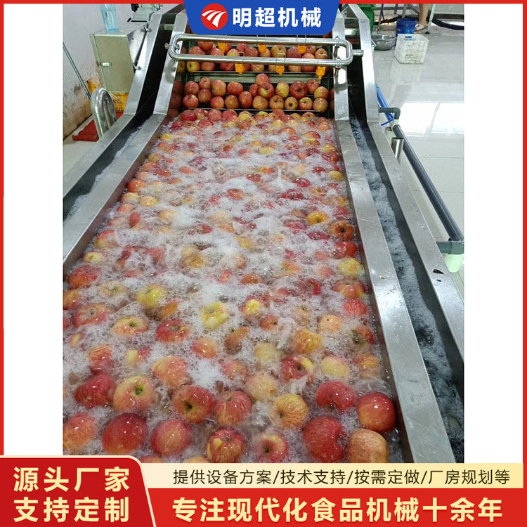 苹果清洗机-水果清洗流水线