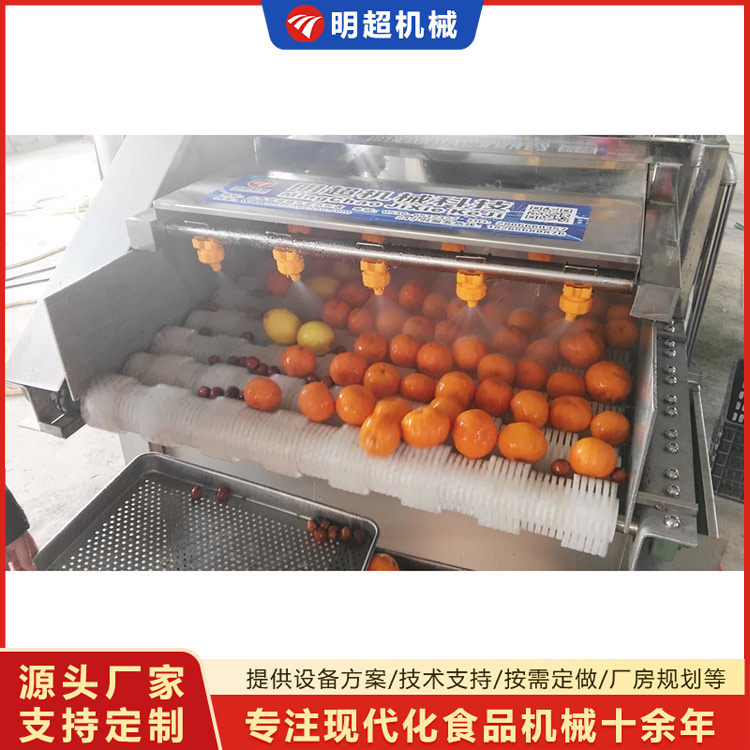 橙子清洗机-水果清洗机