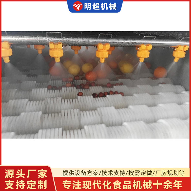 橙子清洗机-水果清洗机