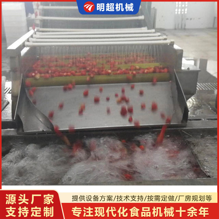 草莓清洗机-草莓毛刷清洗机