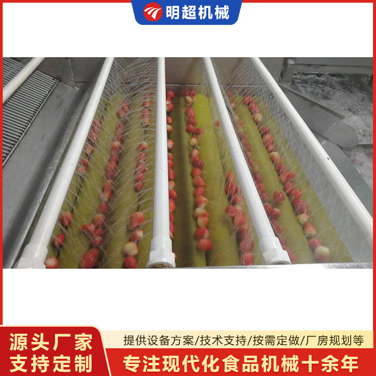 草莓清洗机-草莓毛刷清洗机