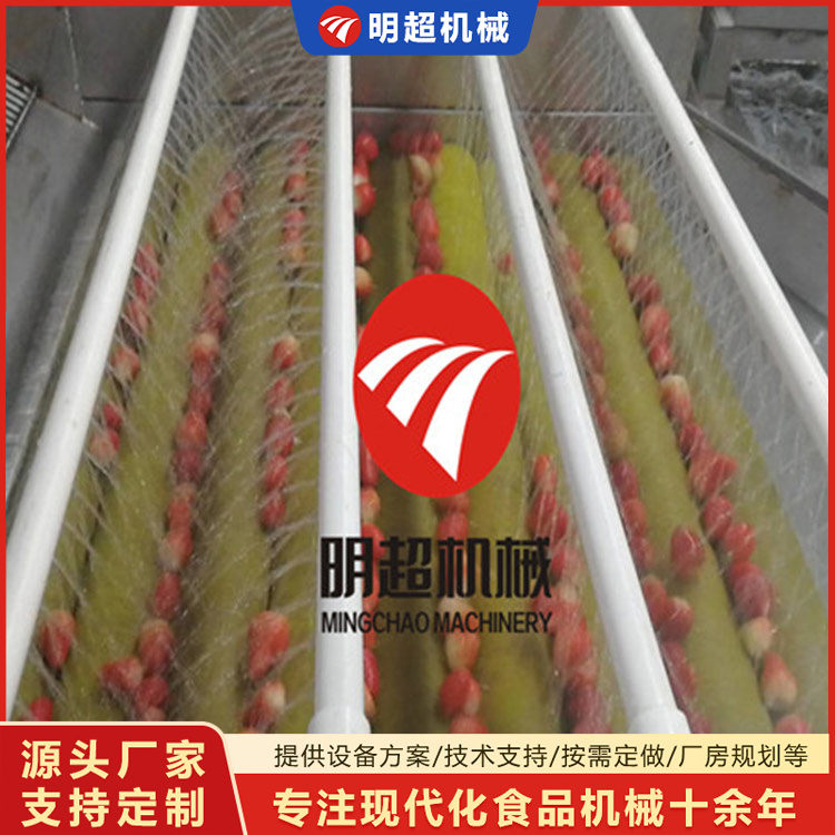 草莓清洗机