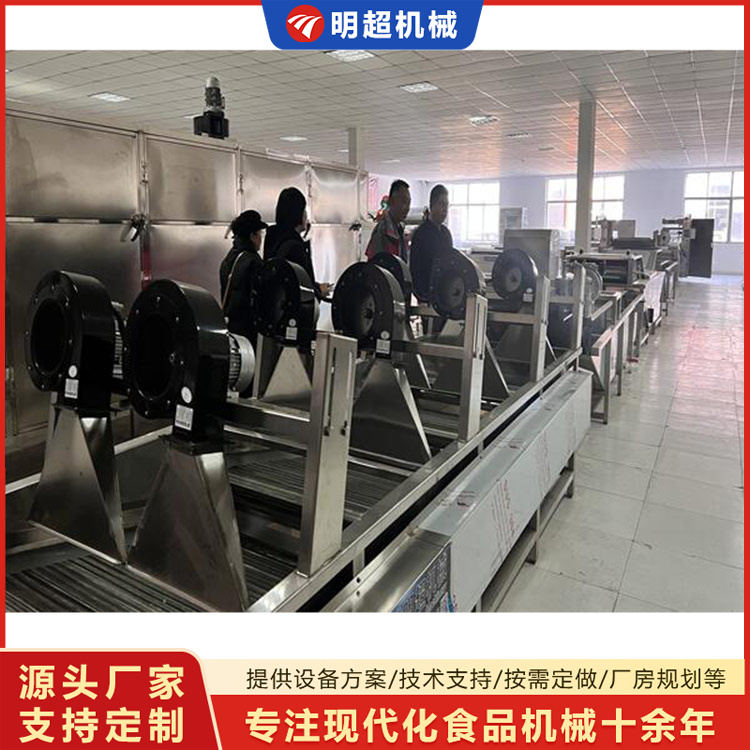 蔬菜清洗风干流水线