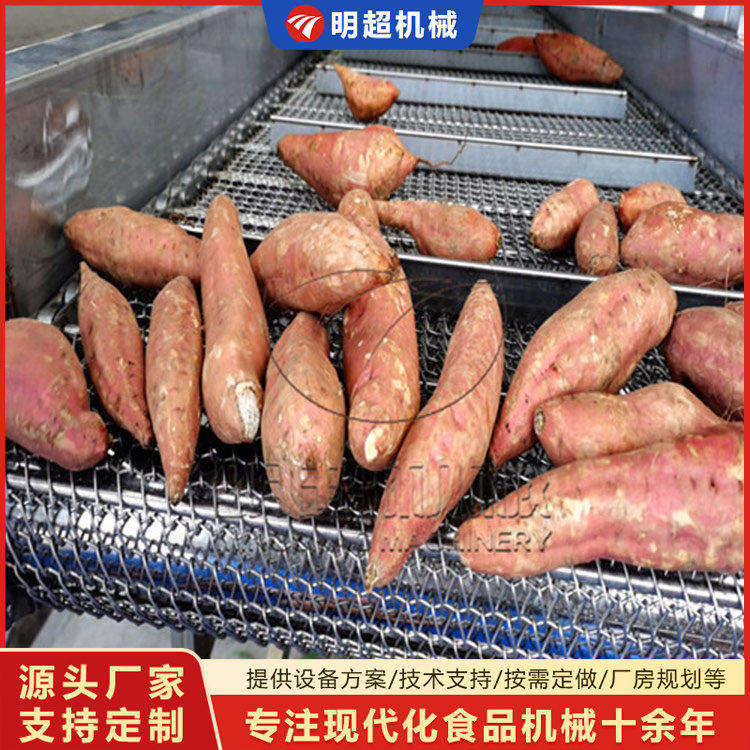 小香薯清洗风干流水线