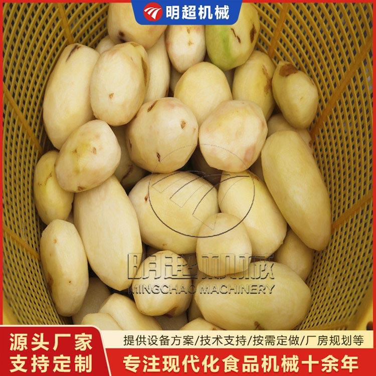 红薯削皮机 去皮机