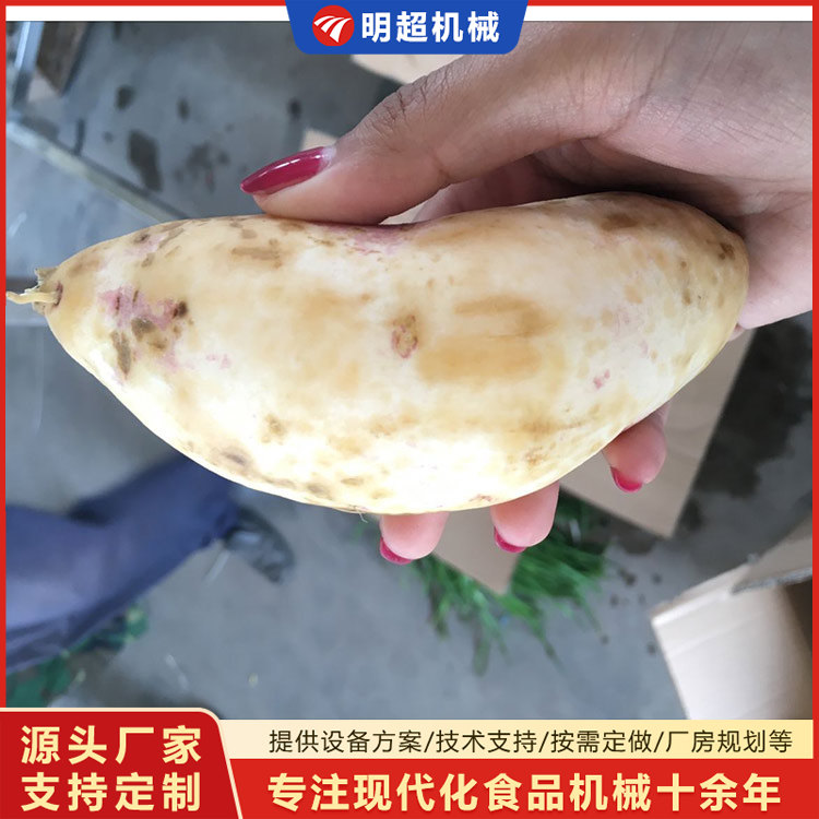 红薯脱皮清洗机