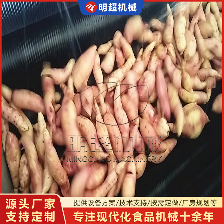 红薯去泥沙清洗机