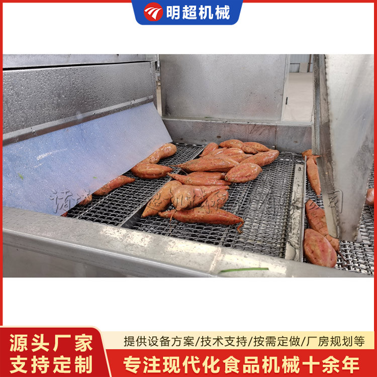 红薯清洗机-球茎类泥沙清洗设备