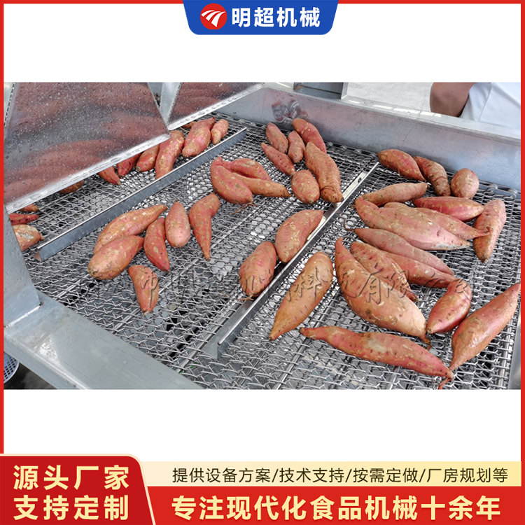 红薯清洗机-球茎类泥沙清洗设备