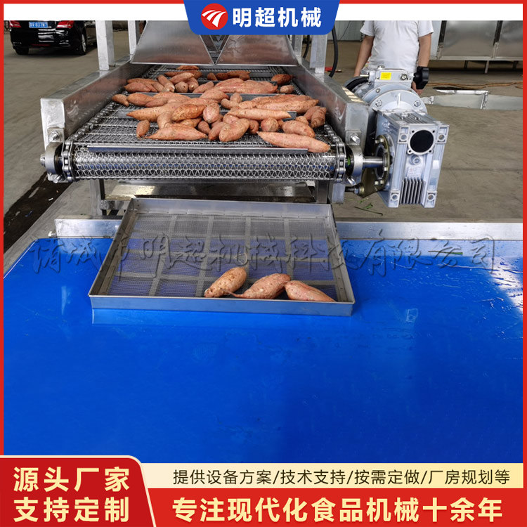 红薯清洗机-球茎类泥沙清洗设备