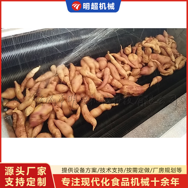红薯清洗机-球茎类泥沙清洗设备