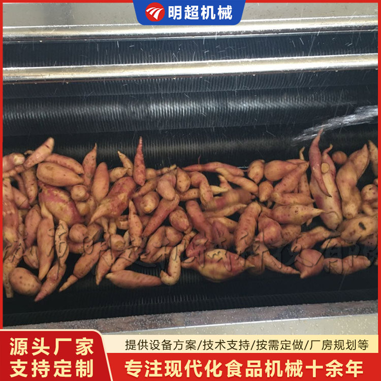 红薯清洗机-球茎类泥沙清洗设备