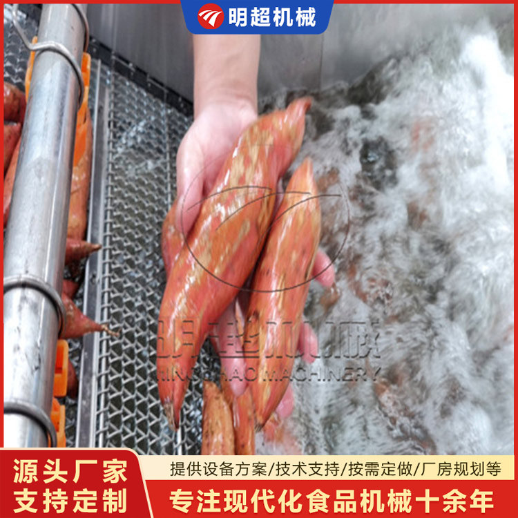 红薯清洗机