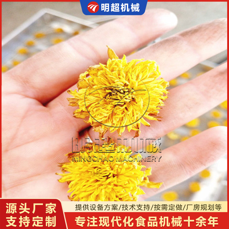 菊花烘干机