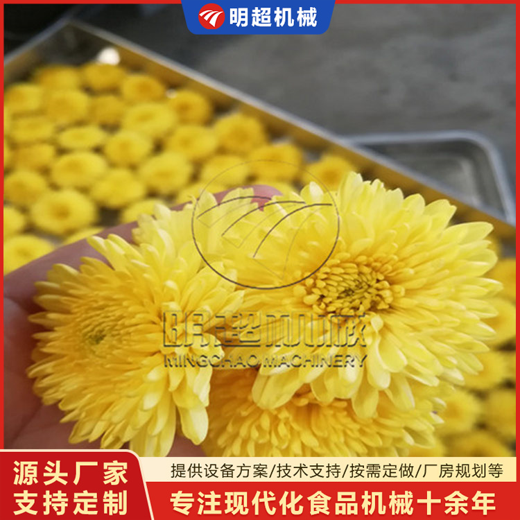 菊花烘干机