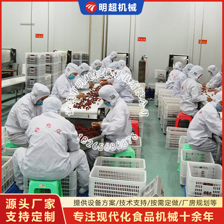 大枣清洗加工流水线