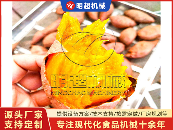 烟薯清洗烘烤线客户现场