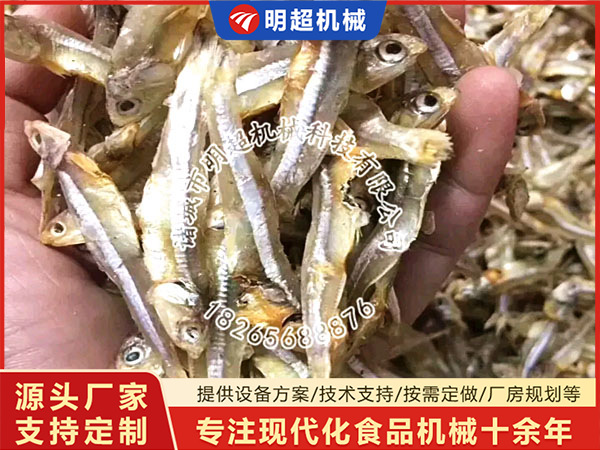 小咸鱼烘干机案例