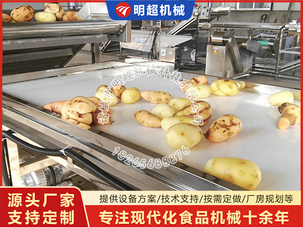 土豆红薯清洗风干线客户案例