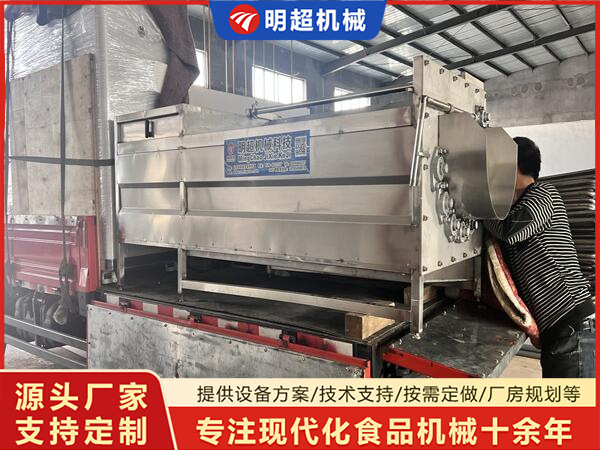 生姜毛辊脱皮清洗机发货河北