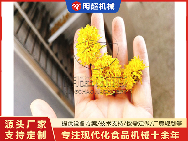 菊花烘干机