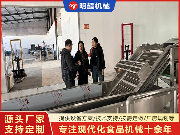 俄罗斯客户考察蔬菜清洗机