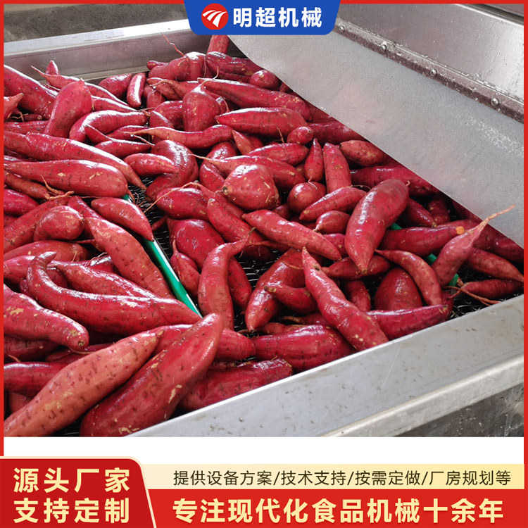 红薯清洗愈合流水线使用后能否延长红薯上架期