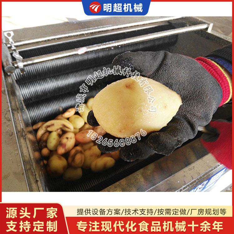 土豆清洗机生产厂家