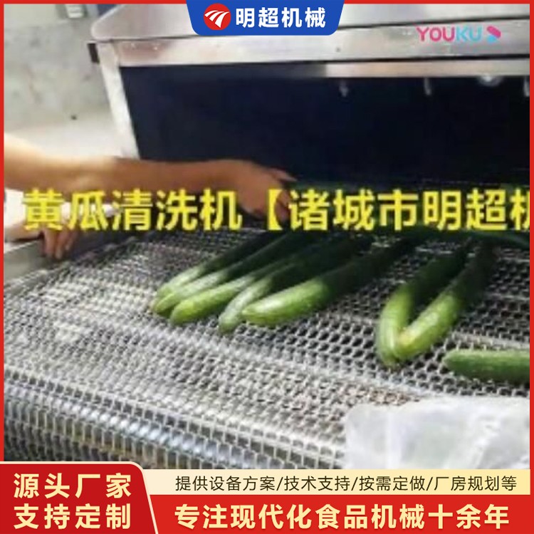 黄瓜喷淋清洗机视频