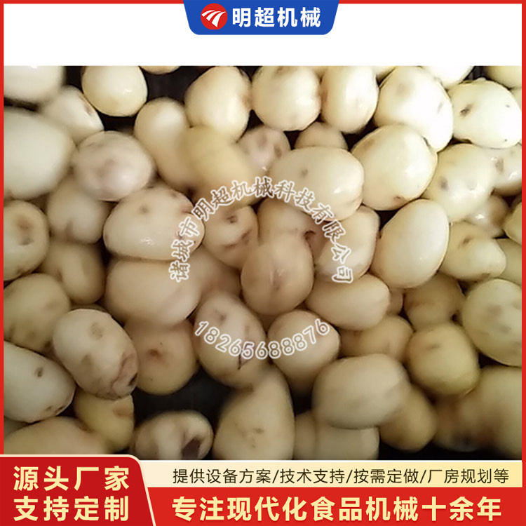 芋头疙瘩去皮清洗机视频