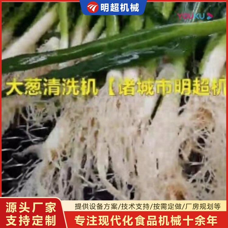 大葱喷淋清洗机生产厂家视频