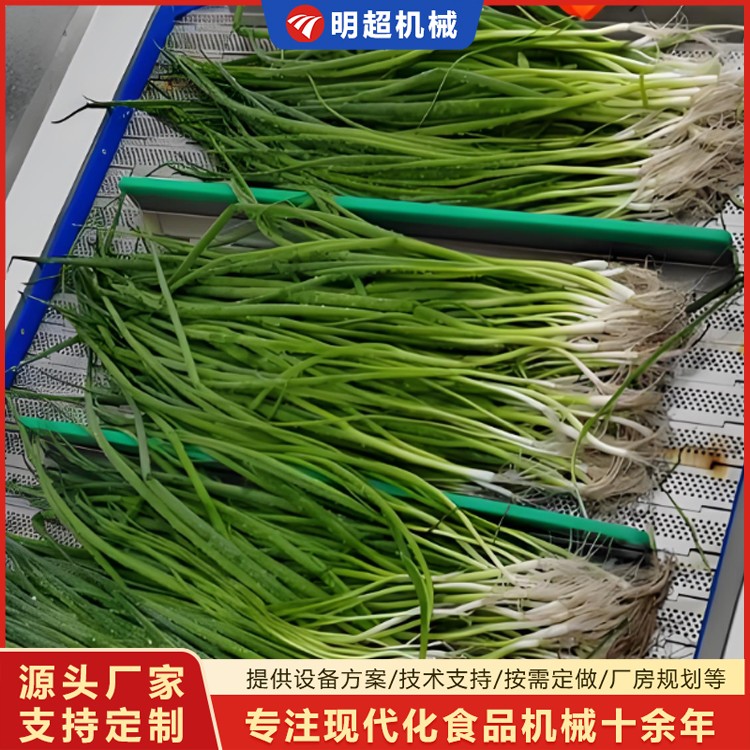 大葱喷淋清洗机厂家选购小根葱清洗机视频
