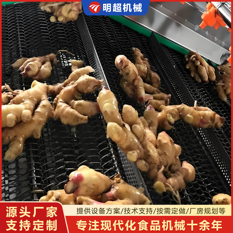 生姜喷淋清洗机 小黄姜去泥沙清洗机视频