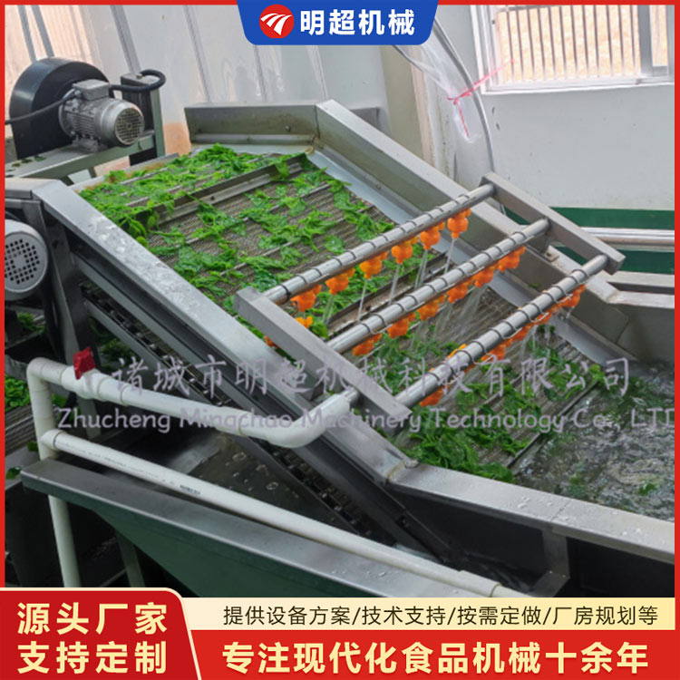 桑芽菜清洗漂烫流水线
