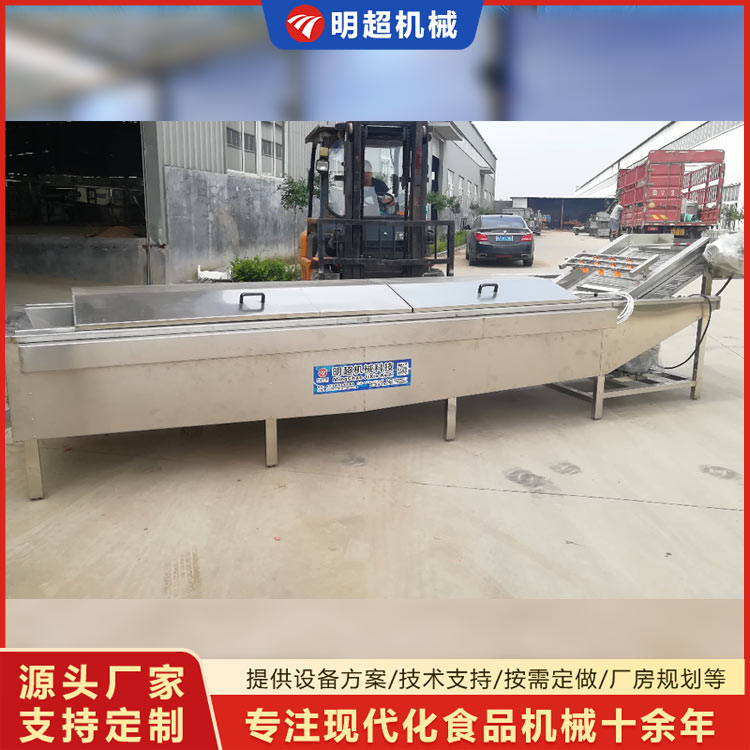 蔬菜清洗漂烫流水线