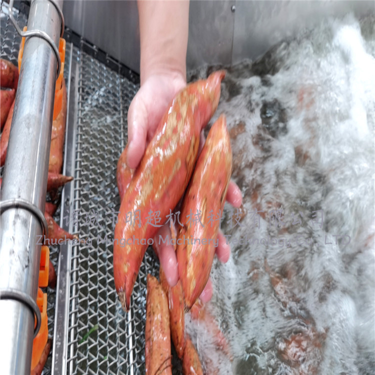 鲜红薯等果蔬清洗加工流水线